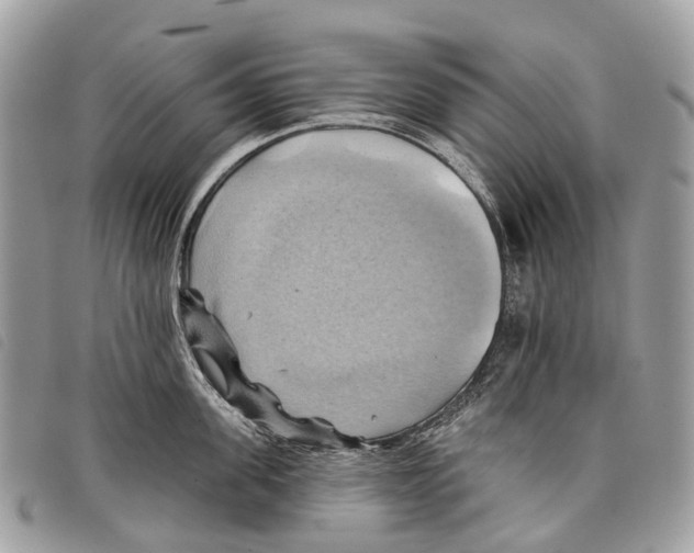 X0000097830955200804111036