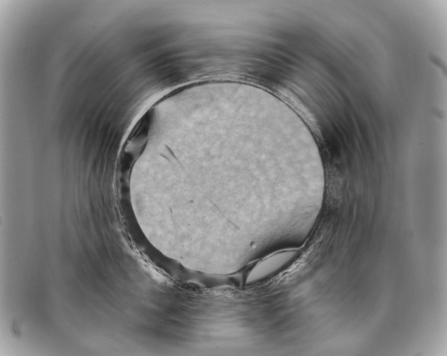 X0000097830956200804111036