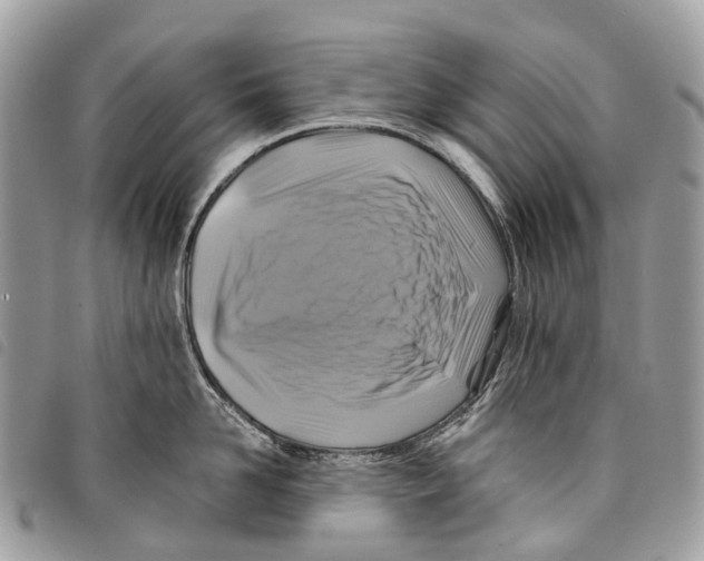 X0000097830958200804111036