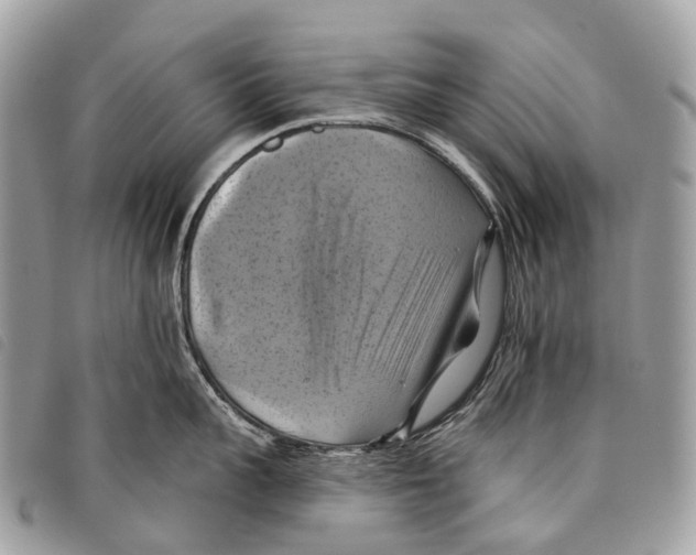 X0000097830959200804111036