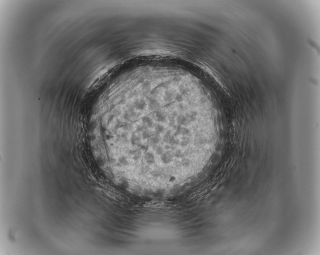 X0000097830967200804111035