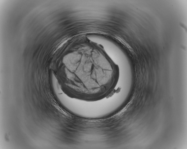 X0000097830969200804111035