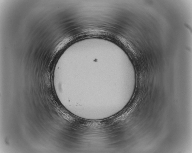 X0000097830970200804111035