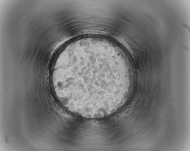 X0000097830971200804111035