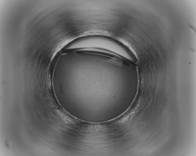 X0000097830973200804111035