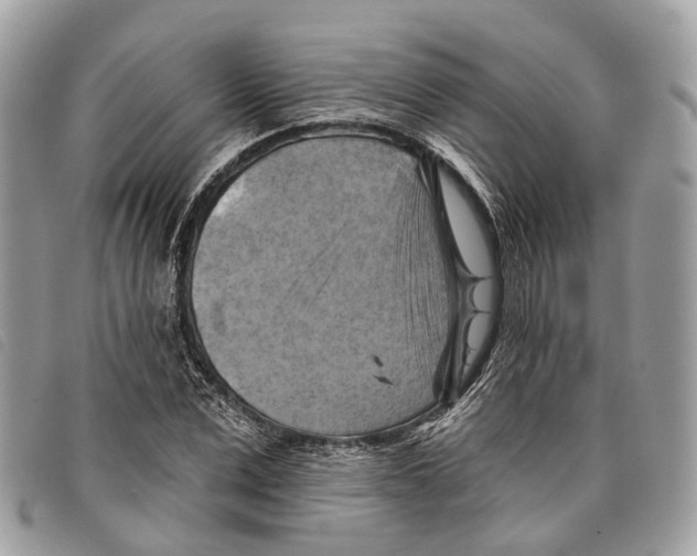 X0000097830975200804111035