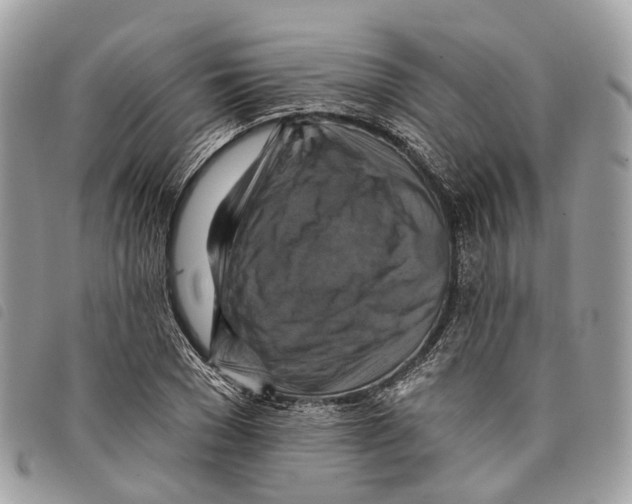 X0000097830977200804111035