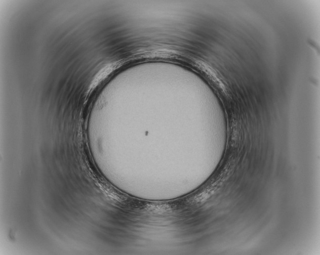 X0000097830978200804111035