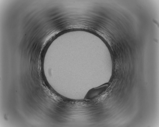 X0000097830979200804111035