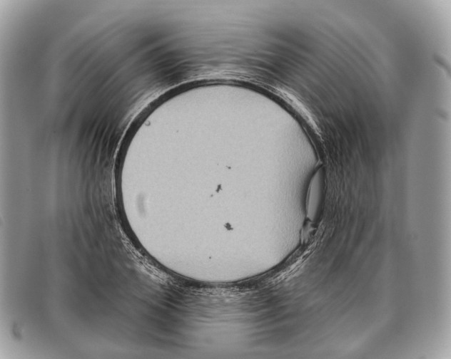 X0000097830980200804111035