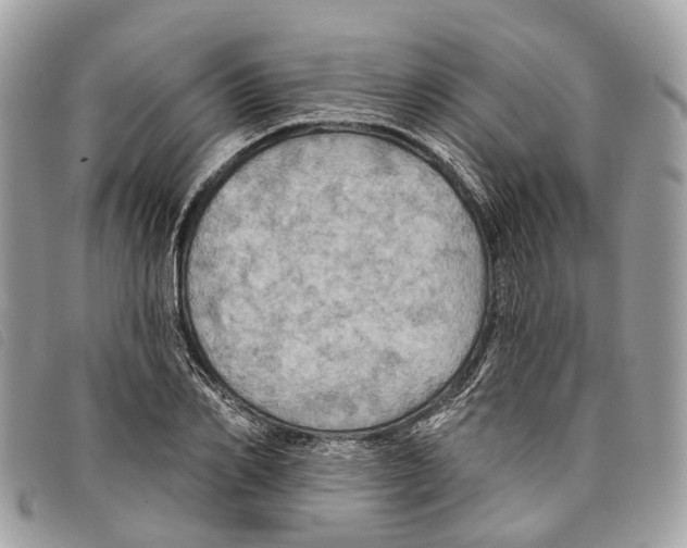 X0000097830982200804111035