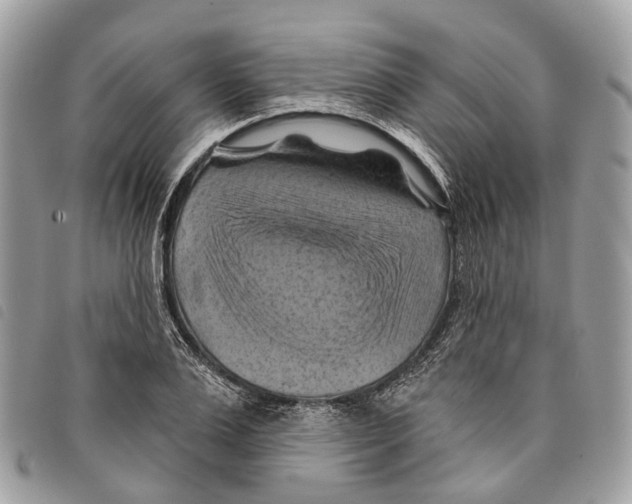 X0000097830983200804111035