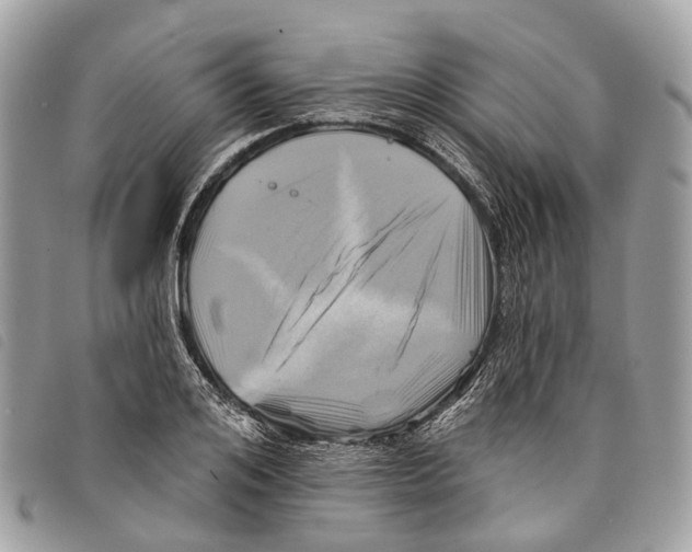 X0000097830984200804111035