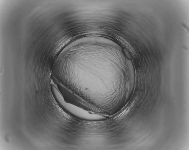 X0000097830985200804111035