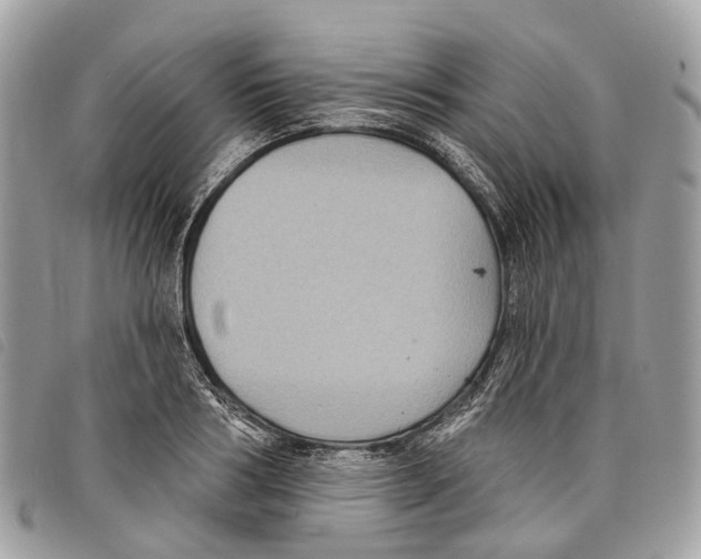 X0000097830986200804111035