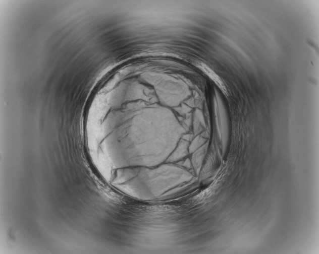 X0000097830988200804111035