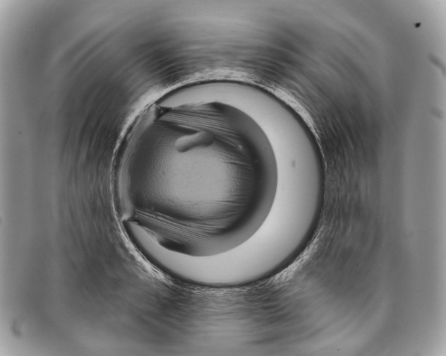 X0000097830989200804111035