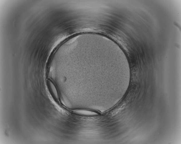 X0000097830991200804111035