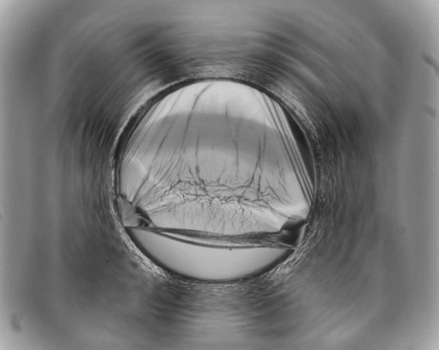 X0000097830992200804111035