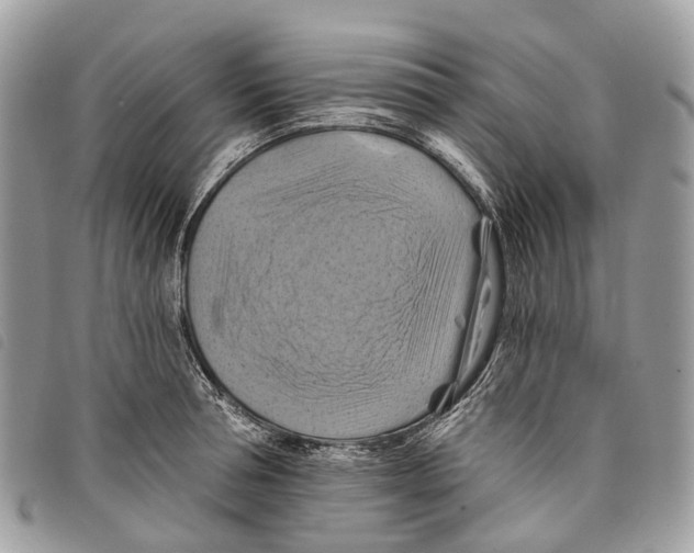 X0000097830994200804111035