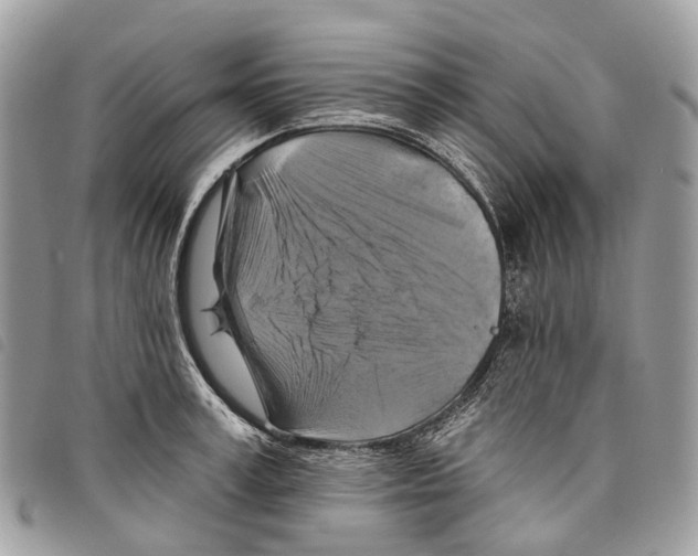 X0000097830995200804111035