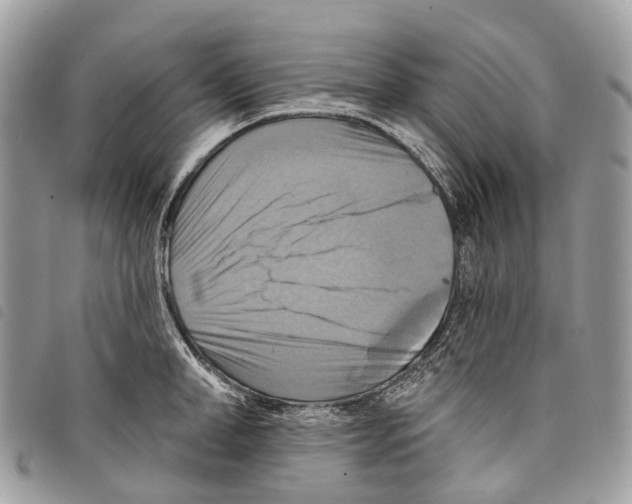 X0000097830998200804111035