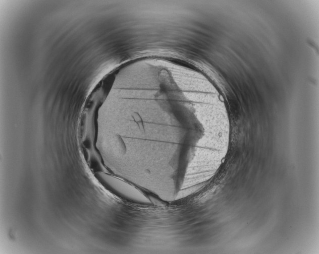 X0000097830999200804111035