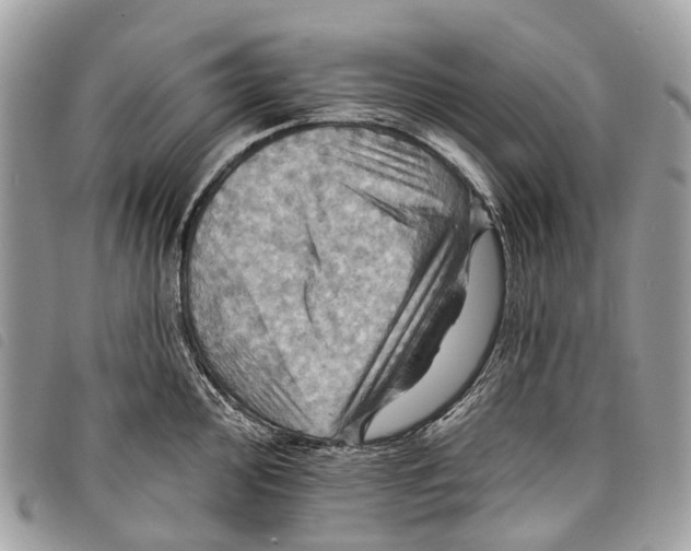 X0000097831000200804111035