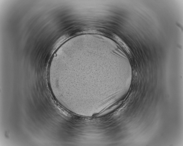 X0000097831002200804111035