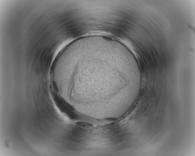 X0000097831003200804111035