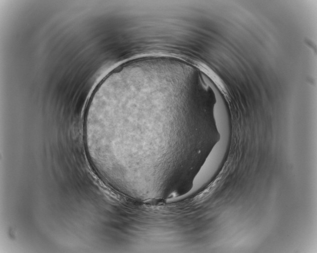 X0000097831004200804111035