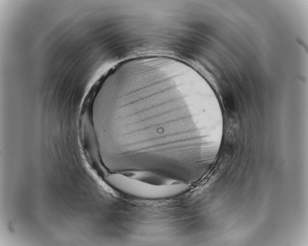 X0000097831005200804111035