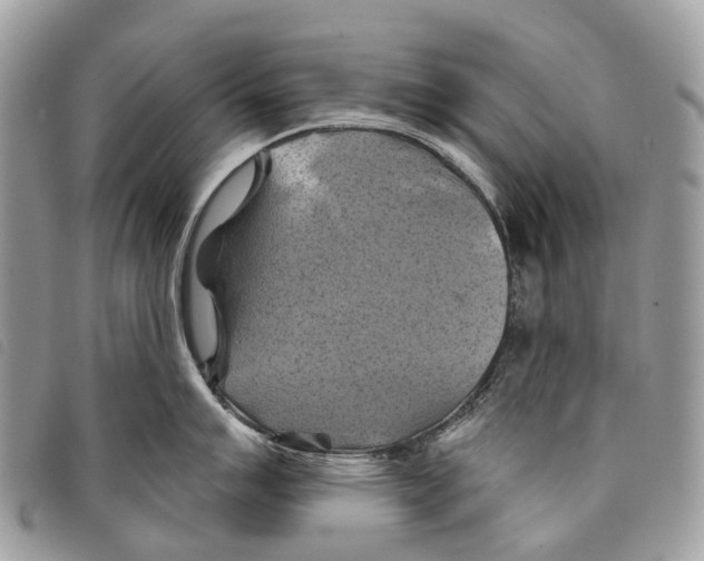 X0000097831007200804111035