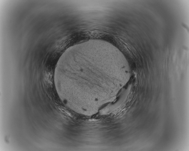 X0000097831010200804111034