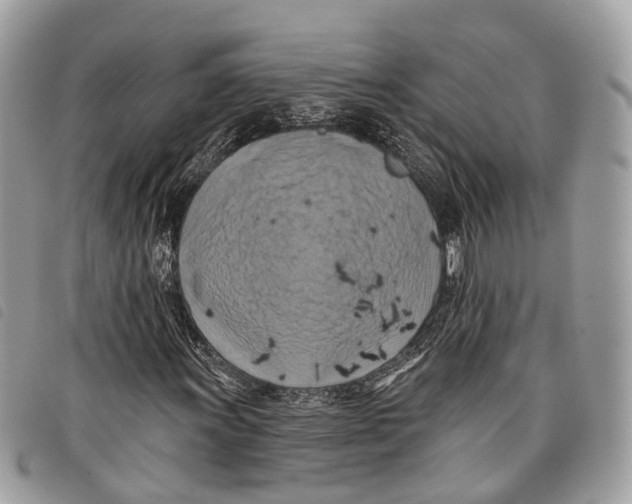 X0000097831011200804111034