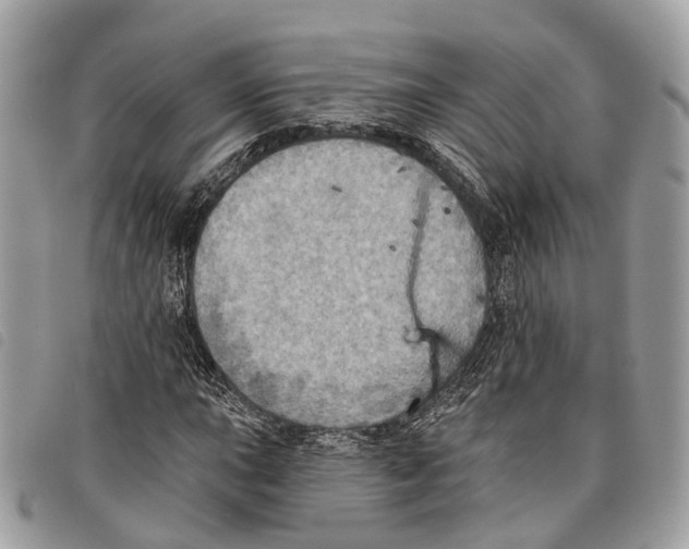 X0000097831015200804111034