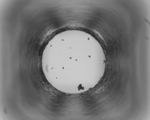 X0000097831016200804111034