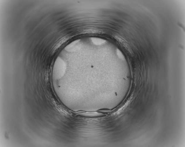 X0000097831017200804111034