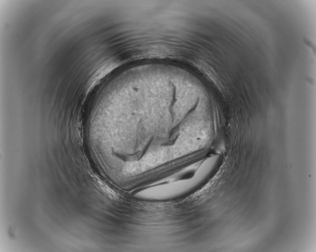 X0000097831018200804111034