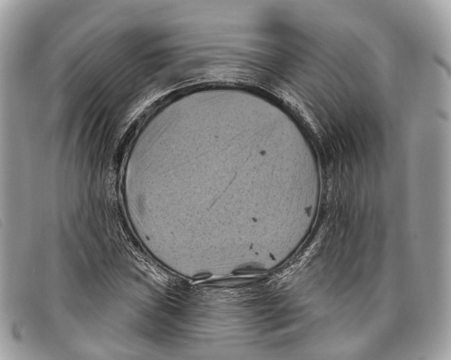 X0000097831019200804111034