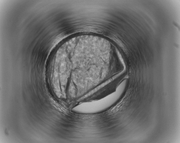 X0000097831020200804111034