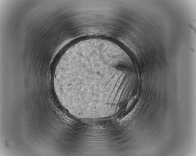 X0000097831021200804111034