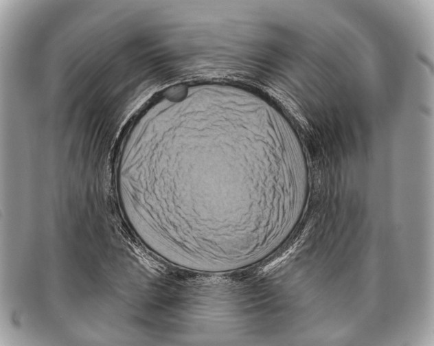 X0000097831023200804111034