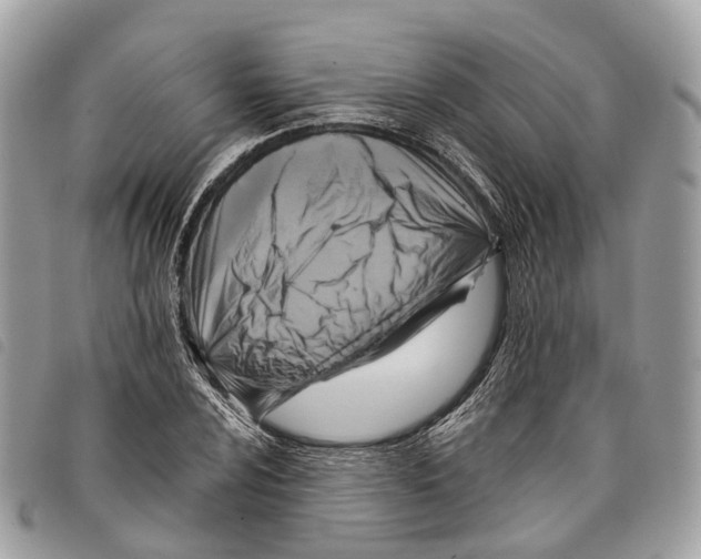 X0000097831024200804111034