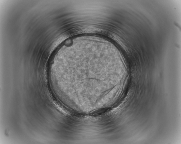 X0000097831026200804111034