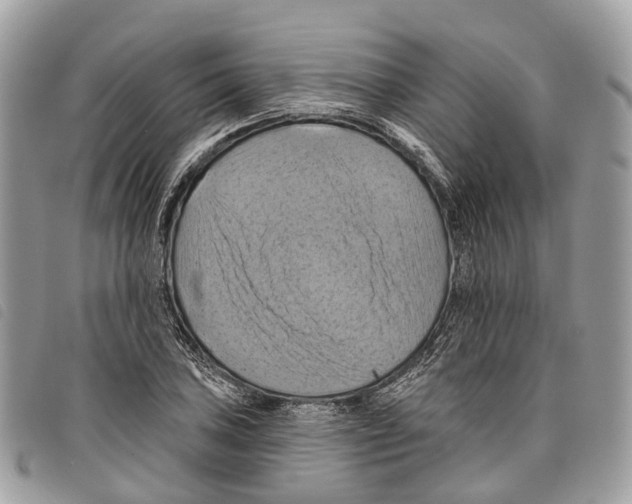 X0000097831027200804111034