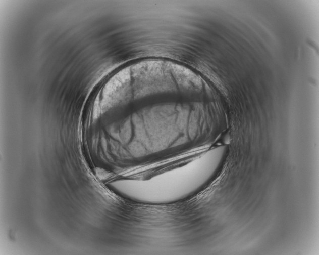 X0000097831028200804111034