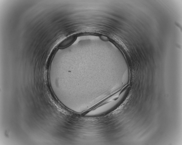 X0000097831029200804111034