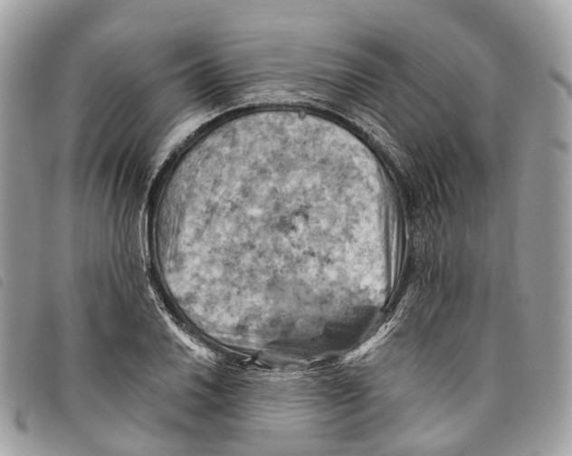 X0000097831030200804111034