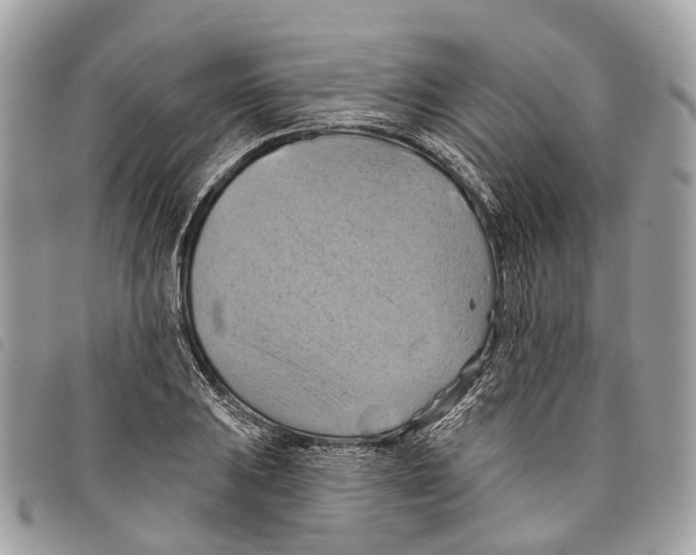 X0000097831031200804111034